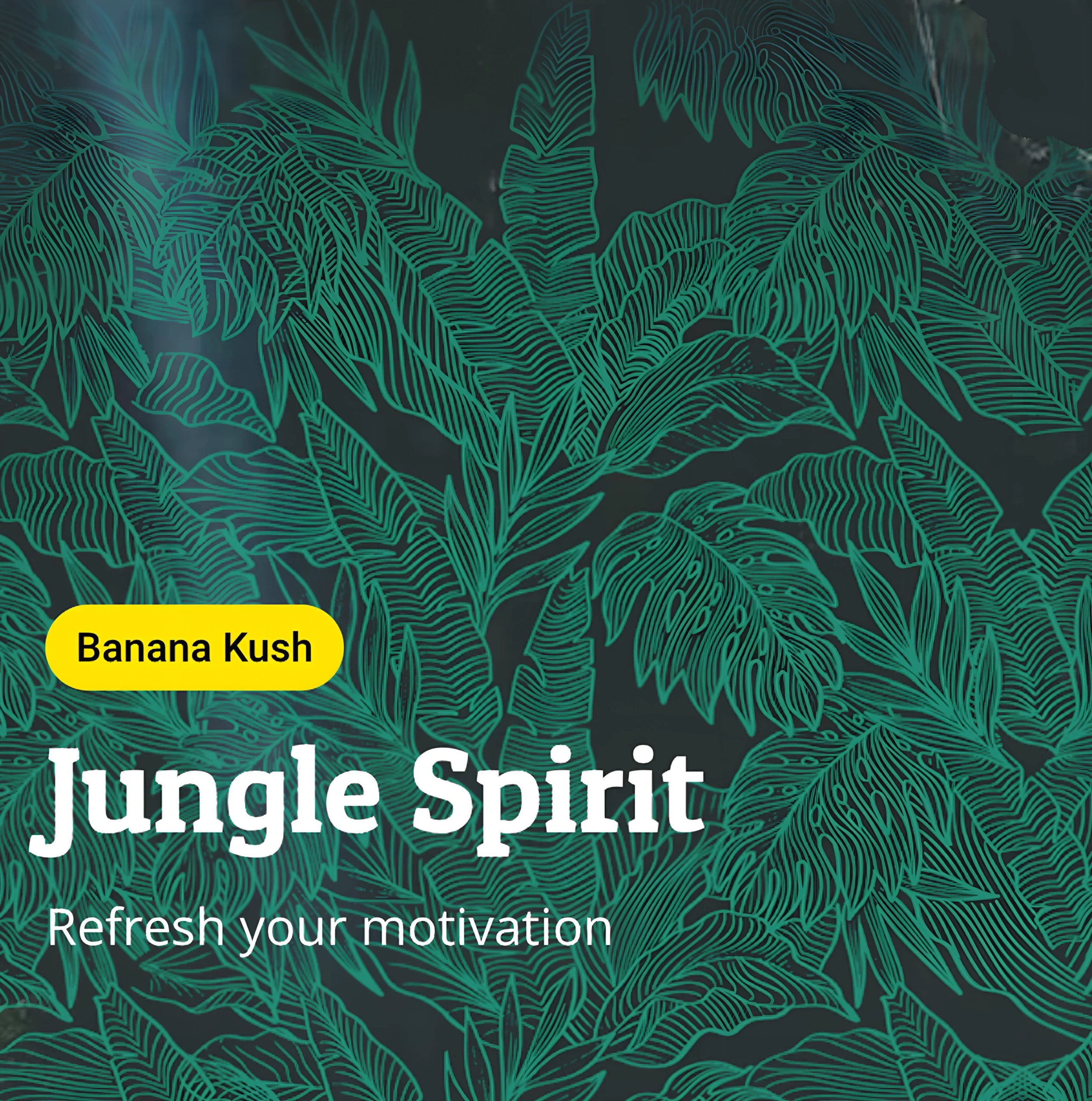 Jungle Spirit – Banana Kush