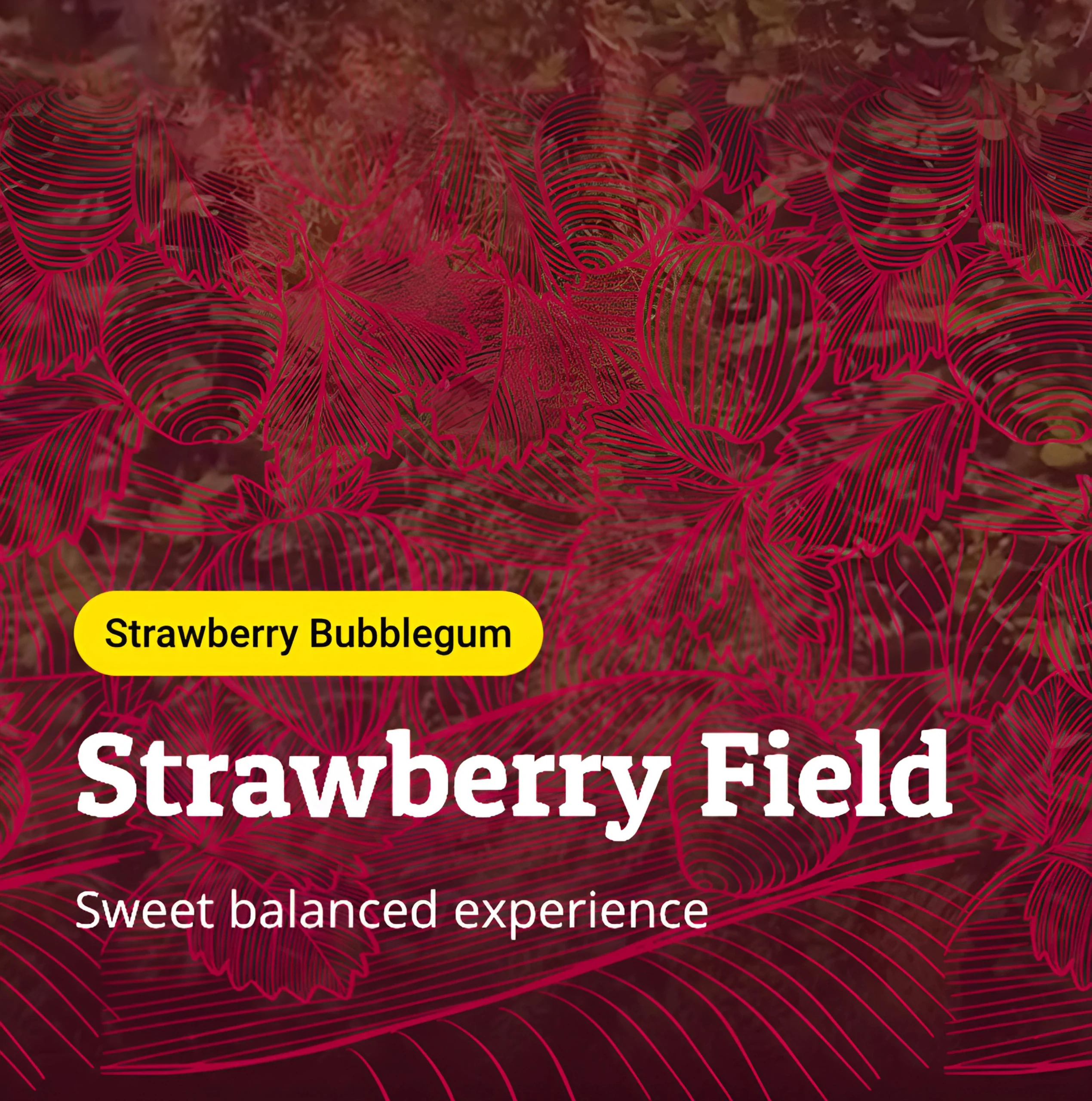 Strawberry Field – Strawberry Bubblegum
