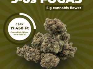 5-ös Ajánlat Kupon