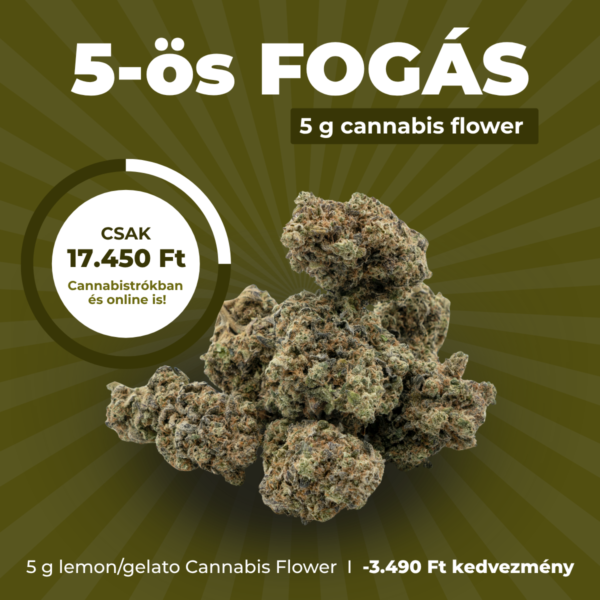 5-ös fogás ajánlat banner — 5 g Cannabis Flower kedvezménnyel